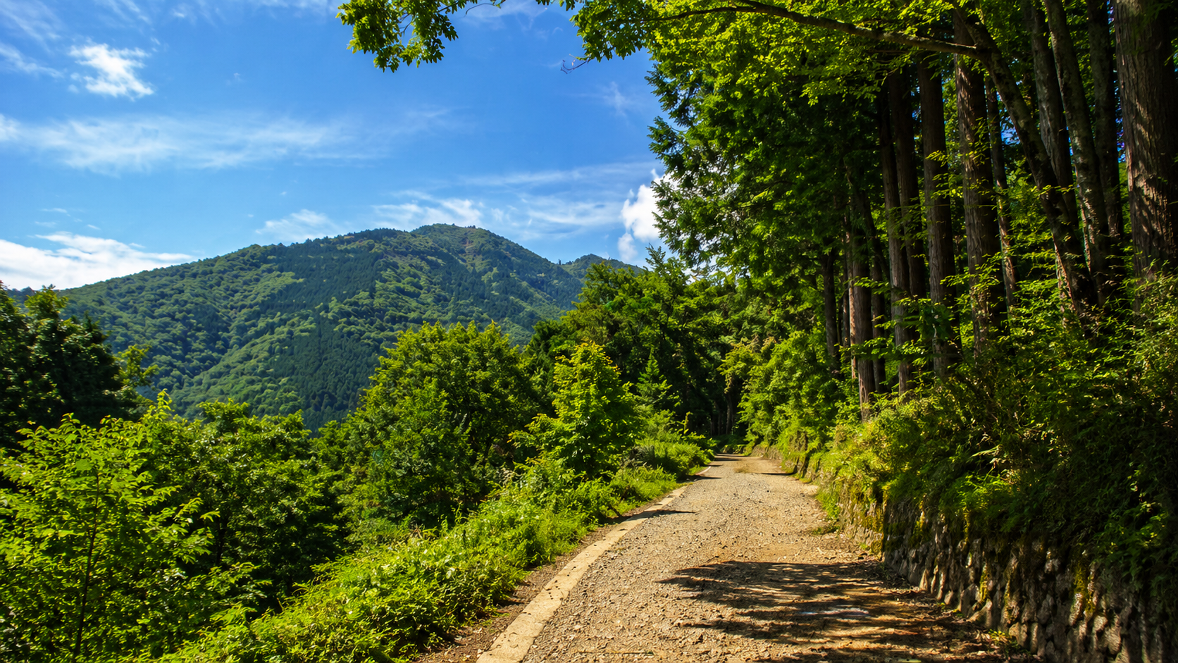 国内旅行